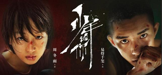 怎么买假的香港公证书